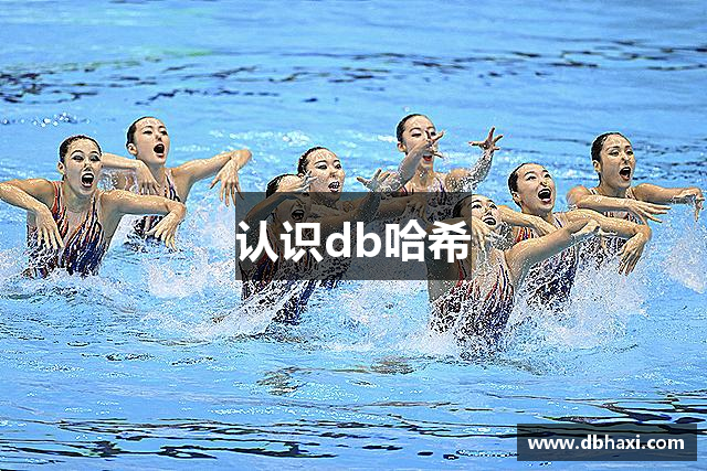 认识db哈希